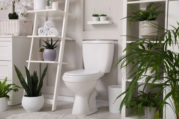 Toilet Repair in Maricopa
