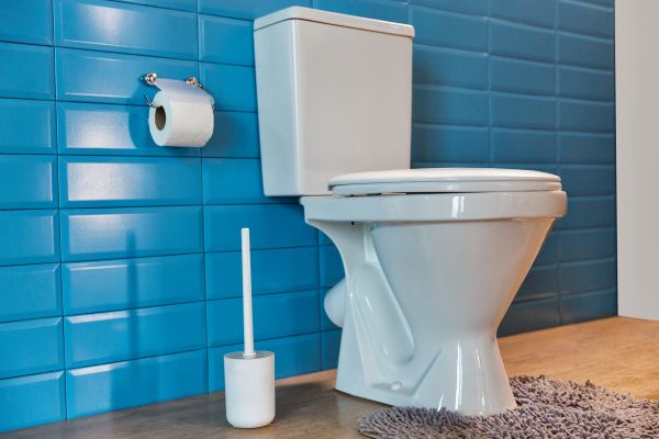 Cost of Toilet Tank Repair in Maricopa