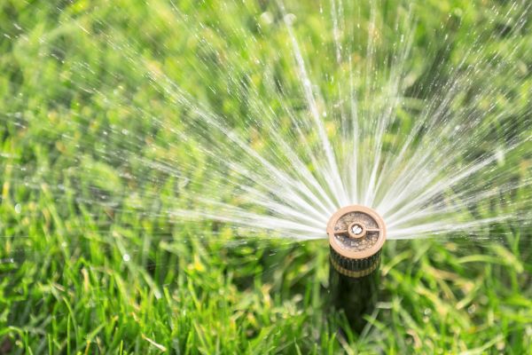 Spigot Installation in Maricopa