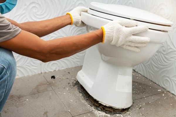 Cost of Toilet Removal in Maricopa