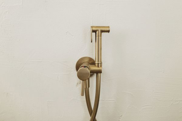 Bidet Plumbing in Maricopa
