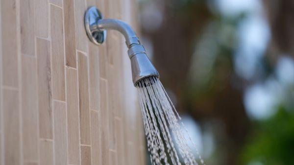 Cost of Showerhead Repair in Maricopa